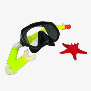 Scubapro Synergy  Twin Mask